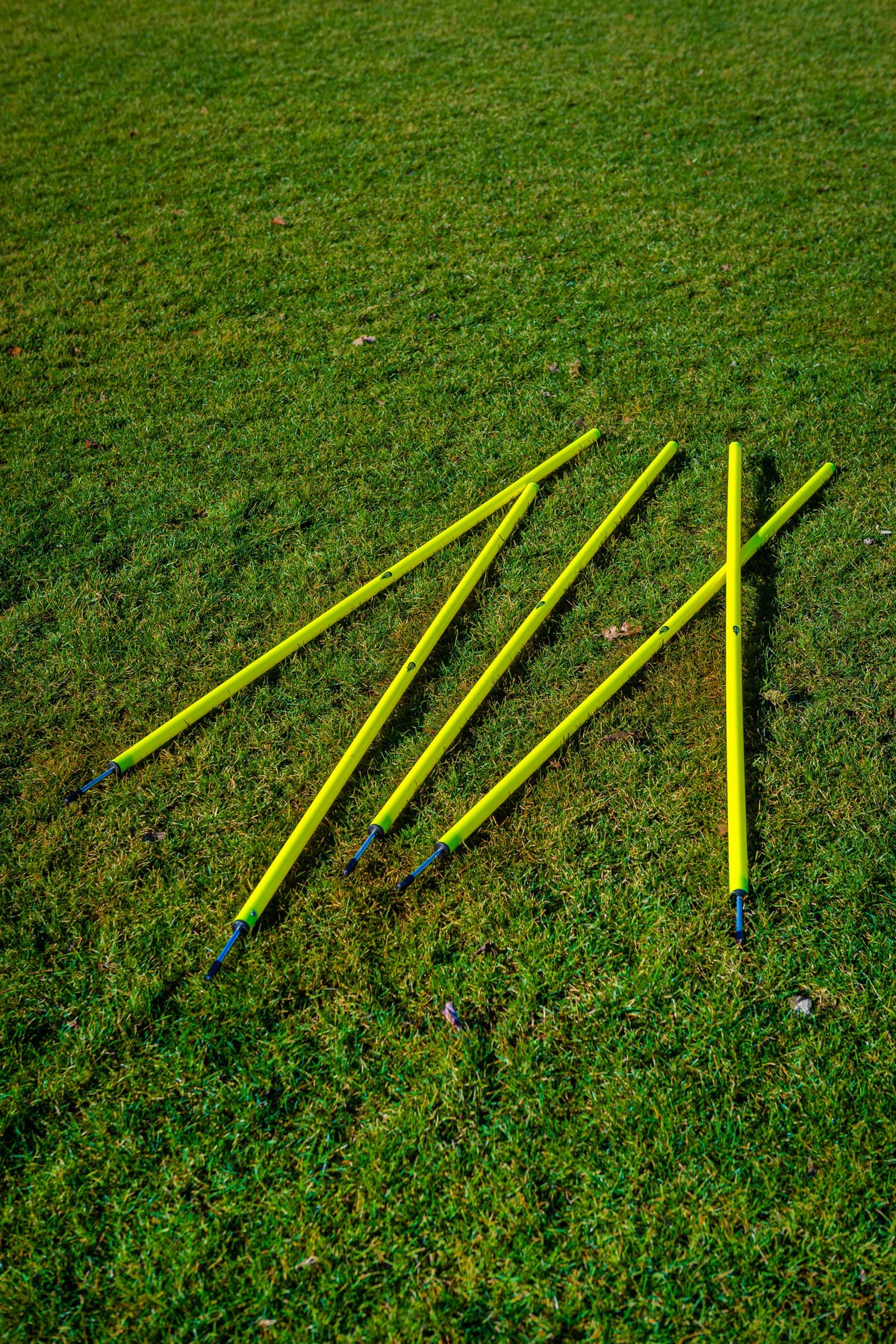 Set of 5 slalom poles with spike