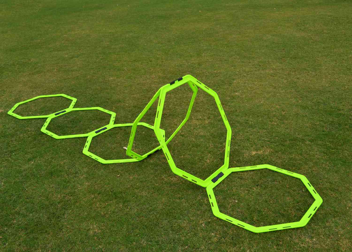 Octagonal agility ladder with carry bag