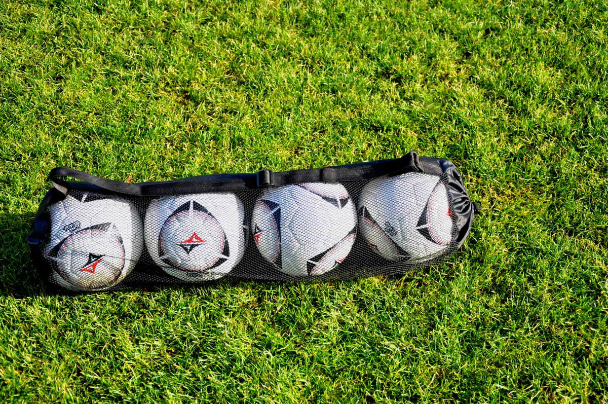 Balloon bag holds up to 4 balls